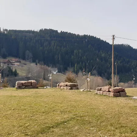 Burgblick Apartment *