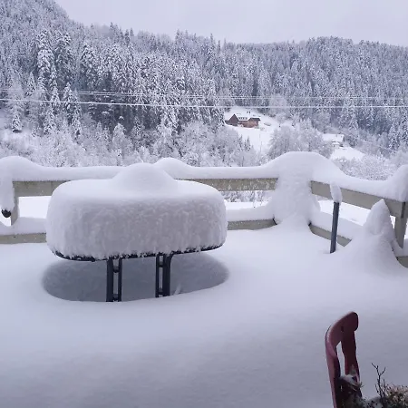 Burgblick Apartment Schramberg